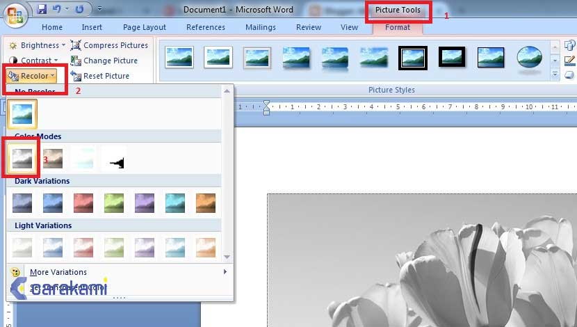 3 Trik Rahasia Cara Mengubah yg Berwarna Menjadi Hitamputih di Word yang Jarang Diketahui 3 Trik Rahasia Cara Mengubah yg Berwarna Menjadi Hitamputih di Word yang Jarang Diketahui