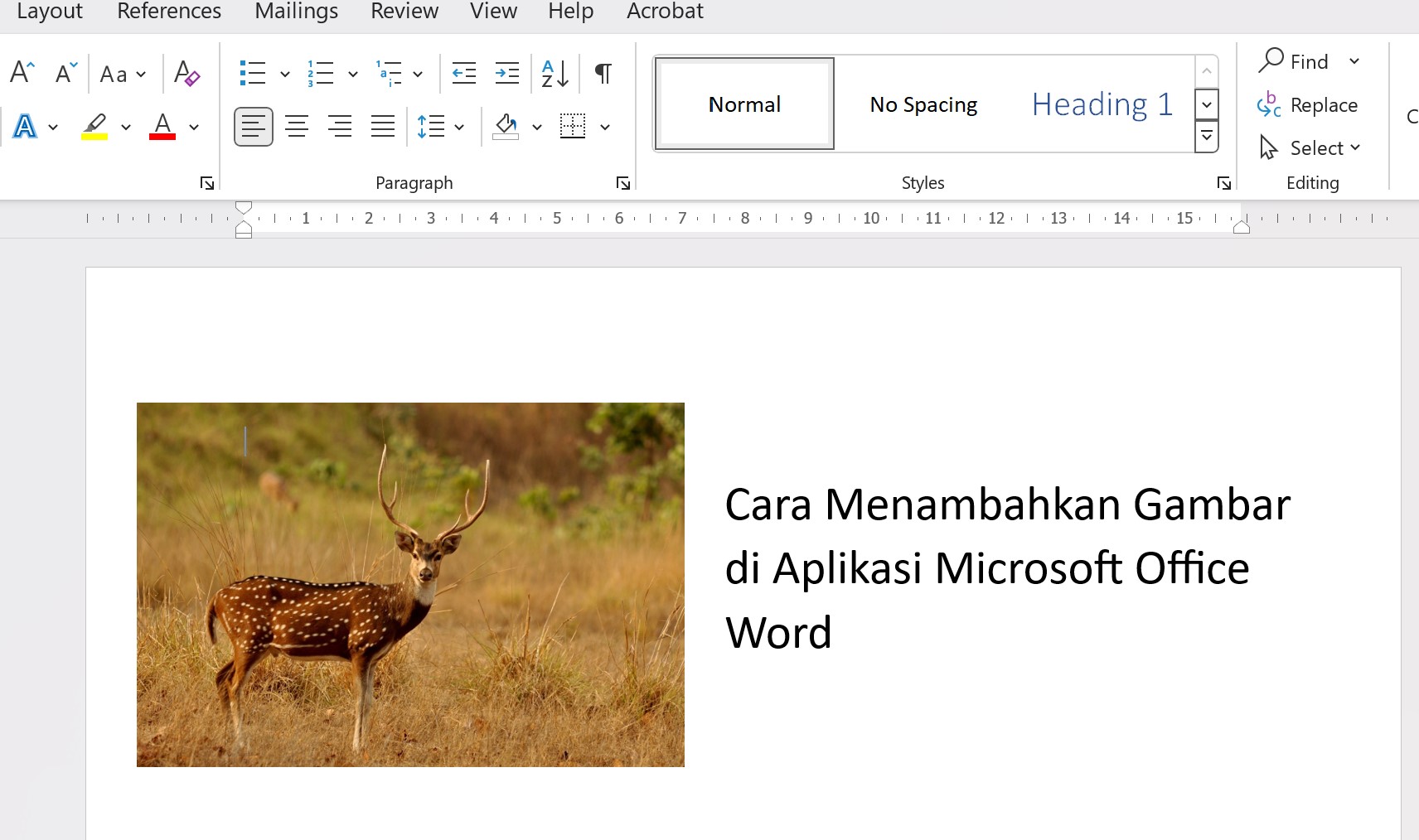 Aplikasi Foto Windows 11 Menambahkan Lebih Banyak Efek Gambar Emka Web